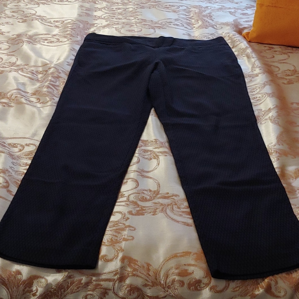 Women's Briggs Petite Jeggings